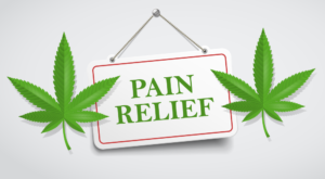 medical marijauana pain relief