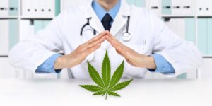 medical marijuana doctor card